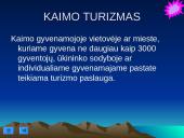 Turistų apgyvendinimo paslaugos 13 puslapis