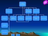 Turistų apgyvendinimo paslaugos 14 puslapis