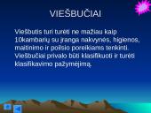 Turistų apgyvendinimo paslaugos 4 puslapis