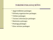 Turizmo paslaugos ir infrastruktūra 12 puslapis