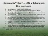 Turizmo perspektyvos Lietuvoje 10 puslapis