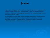 Ugdymo tikslas istoriniu požiūriu 2 puslapis