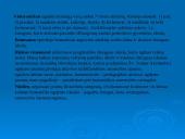 Ugdymo tikslas istoriniu požiūriu 4 puslapis