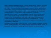 Ugdymo tikslas istoriniu požiūriu 6 puslapis