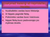 V. Račickas "Nippė namie" 11 puslapis