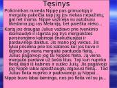 V. Račickas "Nippė namie" 4 puslapis