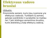 Vadybos mokslas, valdymas 11 puslapis