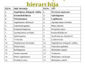 Vadybos mokslas, valdymas 13 puslapis