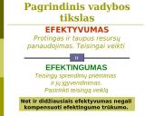 Vadybos mokslas, valdymas 19 puslapis