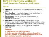 Vadybos mokslas, valdymas 6 puslapis