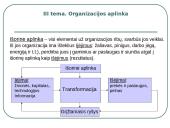 Organizacijos aplinka. Vadyba