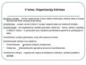 Organizacijos aplinka. Vadyba 12 puslapis