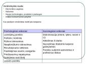 Organizacijos aplinka. Vadyba 13 puslapis