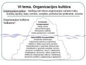 Organizacijos aplinka. Vadyba 16 puslapis