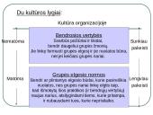 Organizacijos aplinka. Vadyba 18 puslapis