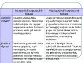 Organizacijos aplinka. Vadyba 19 puslapis