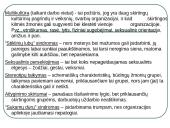 Organizacijos aplinka. Vadyba 20 puslapis