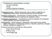 Organizacijos aplinka. Vadyba 6 puslapis