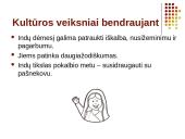 Vadyba trečiojo pasaulio šalyse 9 puslapis