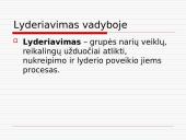 Vadovavimas bei lyderystė 11 puslapis