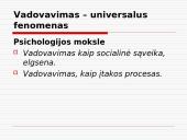 Vadovavimas bei lyderystė 14 puslapis