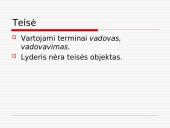 Vadovavimas bei lyderystė 18 puslapis