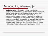 Vadovavimas bei lyderystė 19 puslapis