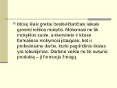 Vadovo kvalifikacijos kėlimas 2 puslapis