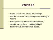 Vadovo kvalifikacijos kėlimas 4 puslapis