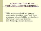 Vadovo kvalifikacijos kėlimas 6 puslapis