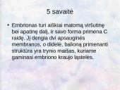 Vaisiaus vystymasis įsčiose