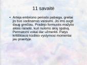 Vaisiaus vystymasis įsčiose 10 puslapis