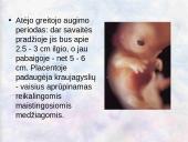 Vaisiaus vystymasis įsčiose 11 puslapis