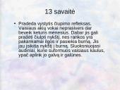 Vaisiaus vystymasis įsčiose 14 puslapis