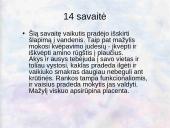 Vaisiaus vystymasis įsčiose 16 puslapis