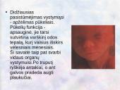 Vaisiaus vystymasis įsčiose 17 puslapis