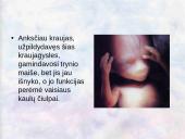 Vaisiaus vystymasis įsčiose 19 puslapis