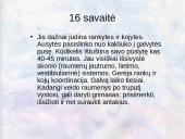 Vaisiaus vystymasis įsčiose 20 puslapis