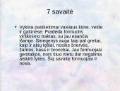 Vaisiaus vystymasis įsčiose 4 puslapis