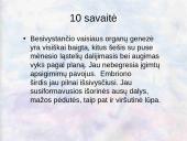 Vaisiaus vystymasis įsčiose 8 puslapis