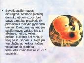Vaisiaus vystymasis įsčiose 9 puslapis