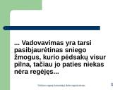 Valdymo organų (tarnautojų) darbo organizavimas 2 puslapis