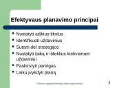 Valdymo organų (tarnautojų) darbo organizavimas 11 puslapis