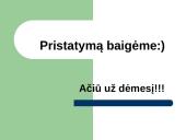 Valdymo organų (tarnautojų) darbo organizavimas 16 puslapis