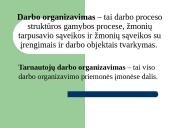 Valdymo organų (tarnautojų) darbo organizavimas 3 puslapis