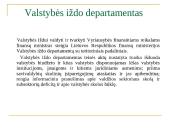 Valstybės iždas ir valstybės rezervas 13 puslapis