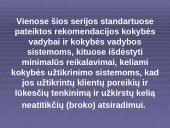 Valstybės kokybės politika 13 puslapis