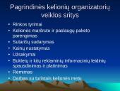 Valstybinis turizmo veiklos reguliavimas 11 puslapis