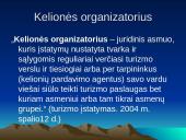 Valstybinis turizmo veiklos reguliavimas 13 puslapis