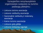 Valstybinis turizmo veiklos reguliavimas 5 puslapis